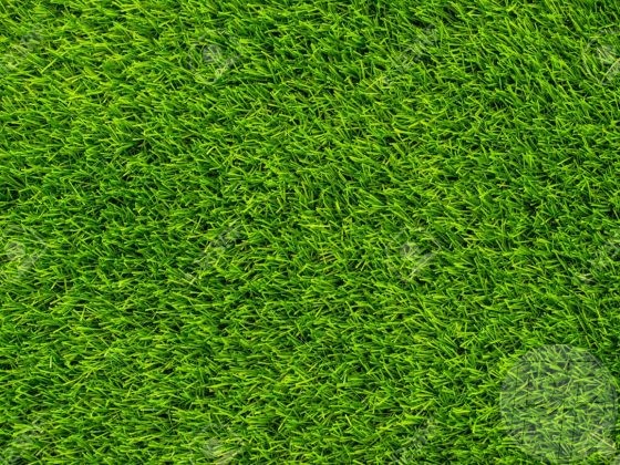 Artificial Turf - Green Grass